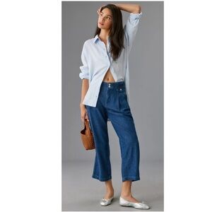 Anthropologie Pilcro High Rise Pleated Relaxed Wide Leg Jeans Medium Wash 29